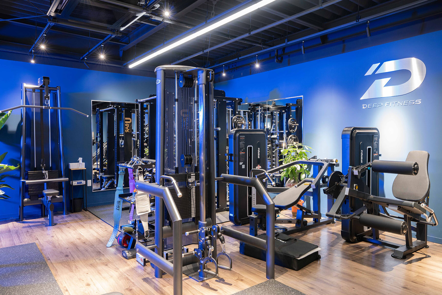 DEEP FITNESS(ディープフィットネス) 1 deep fitnessefbc88e38387e382a3e383bce38397e38395e382a3e38383e38388e3838de382b9efbc89