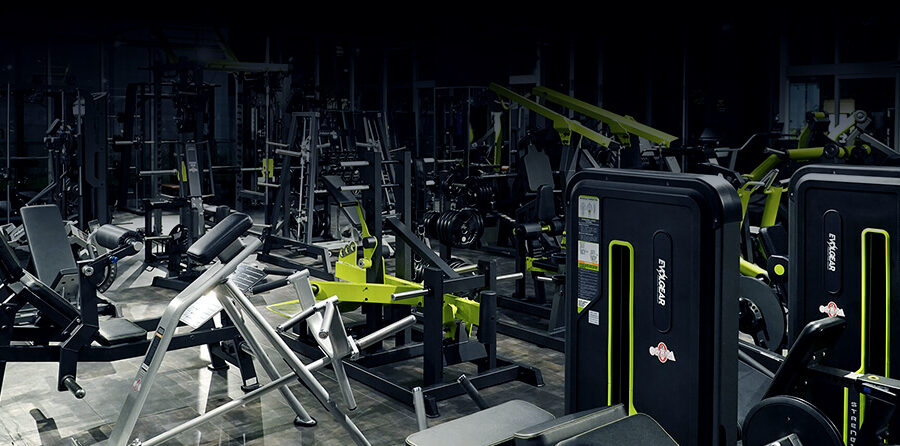 EVOLGEAR GYM 1 evolgear gym