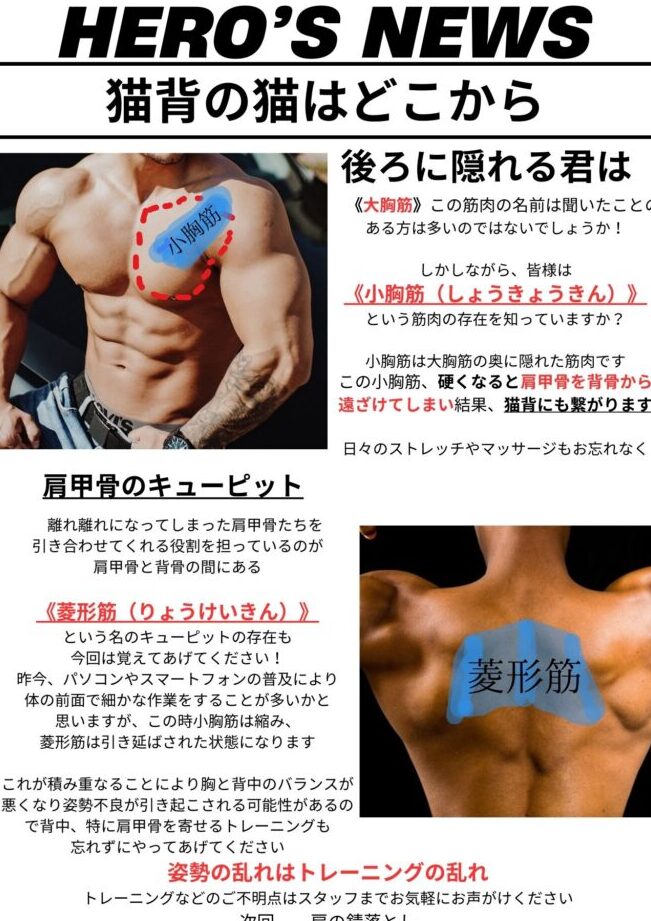 FAscinating Hero’s(ファシネイティングヒーローズ) 1 fascinating herose38395e382a1e382b7e3838de382a4e38386e382a3e383b3e382b0e38392e383bce383ade383bce382ba