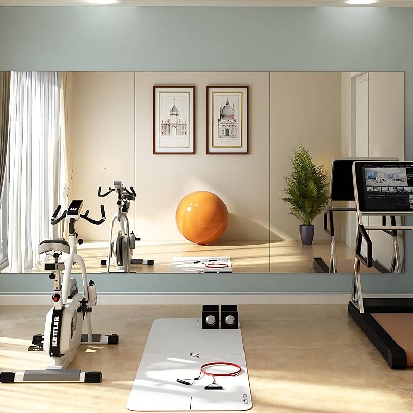 Gym Mirror (ジムミラー) 1 gym mirror efbc88e382b8e383a0e3839fe383a9e383bcefbc89
