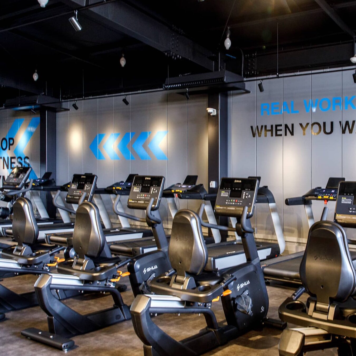 LOOP FITNESS GYM(ループ フィットネス ジム) 1 loop fitness gymefbc88e383abe383bce38397 e38395e382a3e38383e38388e3838de382b9 e382b8e383a0efbc89