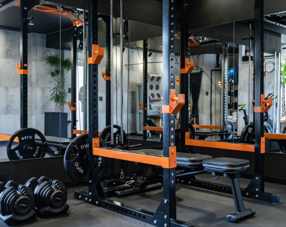 Personal Gym LUVIA 1 personal gym luvia