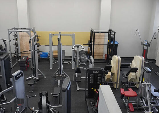 RED POWER GYM (レッドパワージム) 1 red power gym efbc88e383ace38383e38389e38391e383afe383bce382b8e383a0efbc89